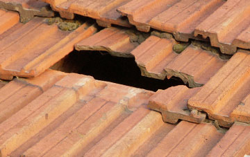 roof repair Ashcombe, Devon